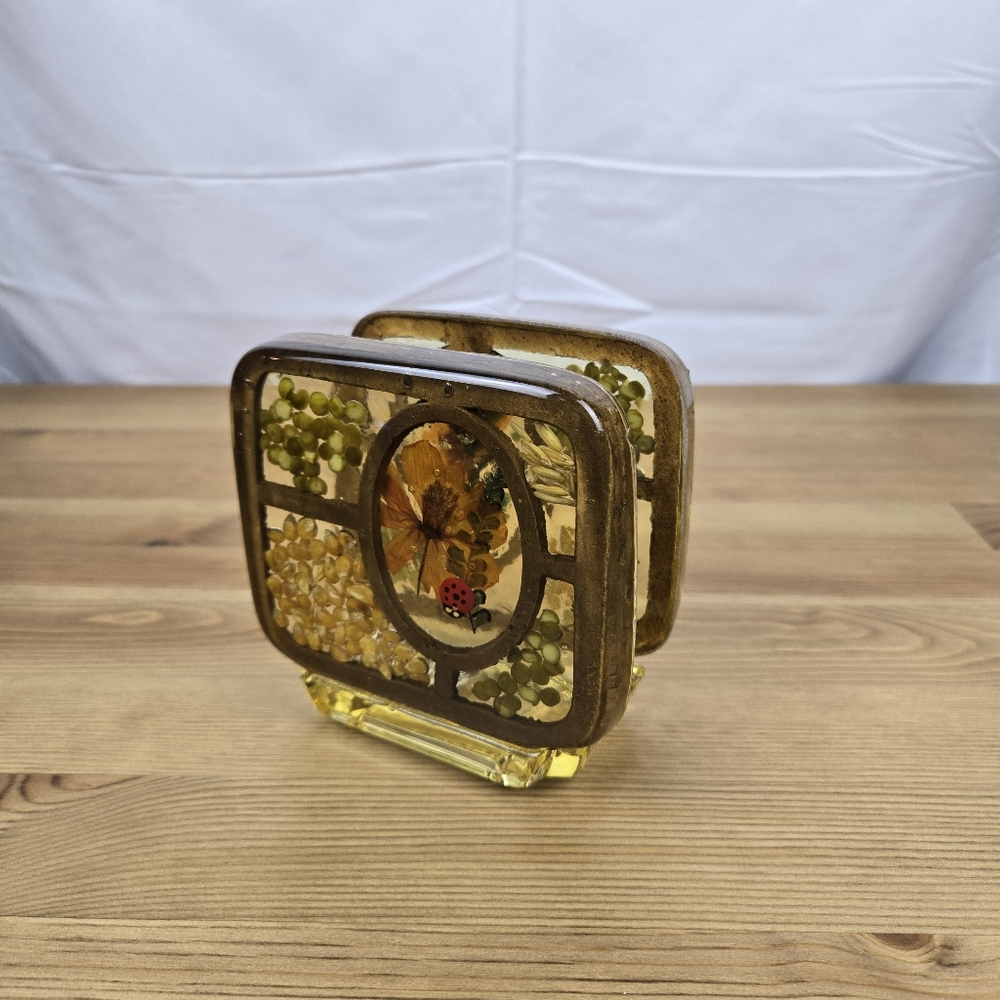 Vtg Design Gifts Floral Ladybug Seeds Napkin/Letter Holder Lucite Acrylic Resin